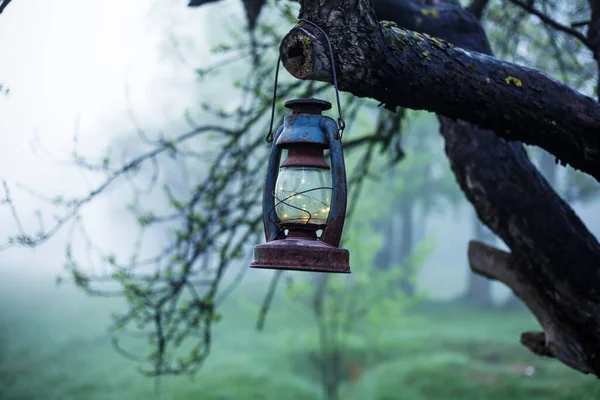 Morning Fog Spring Apple Orchard Vintage Lantern Hanging Branch — Stock Photo, Image