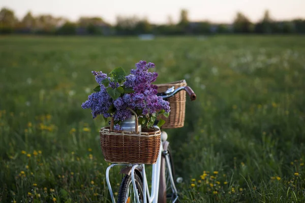 夏のりんご園のウィッカーバスケットにライラックの花の花束とヴィンテージバイク — ストック写真