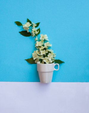 Mavi arka planda beyaz bardak ve yasemin çiçekleri. Jasmine bardaktan buhar gibi çıkıyor. Yasemin çayı konsepti. Düz yatış, üst görünüm.