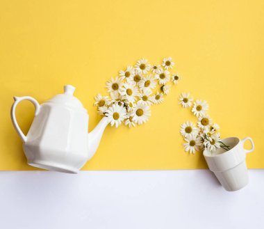 Taze papatya çiçeği ve yaprakların pastel mavi arka planda çay fincanına döküldüğü yaratıcı bir tasarım. Yaratıcı bitki çayı konsepti. Düz yatıyordu.