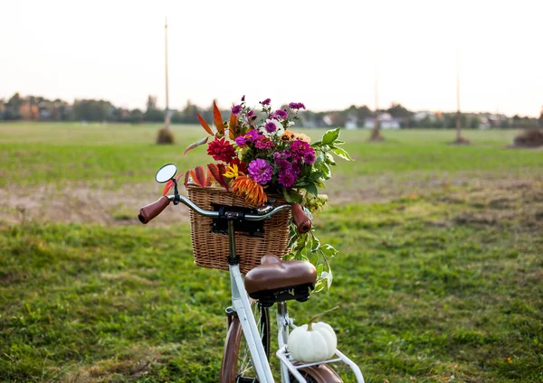 Una Bicicletta Epoca Con Mazzo Fiori Autunnali Cestino — Foto Stock