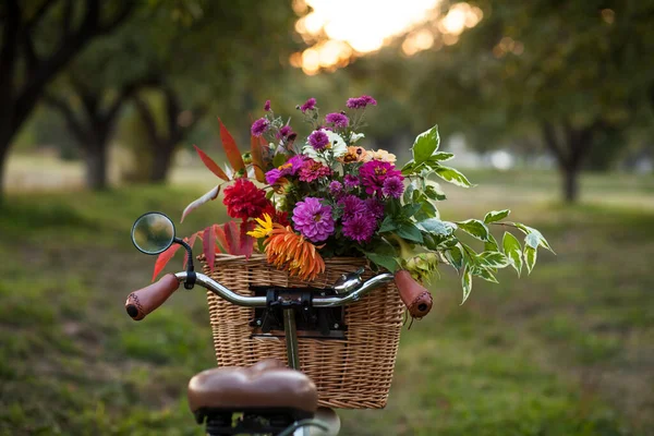 Винтажный Велосипед Букетом Осенних Цветов Корзине — стоковое фото
