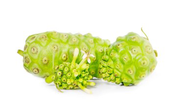 Noni veya Morinda Citrifolia meyveleri beyaz arka planda izole edilmiş