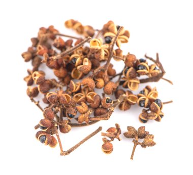 Zanthozylum limonella Alston beyaz arka planda izole edilmiş