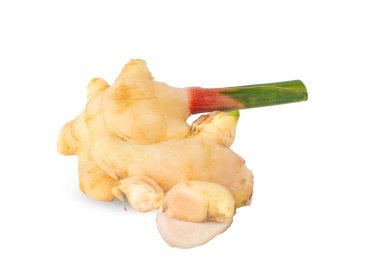 Genç galangal beyaz arka planda izole edilmiş