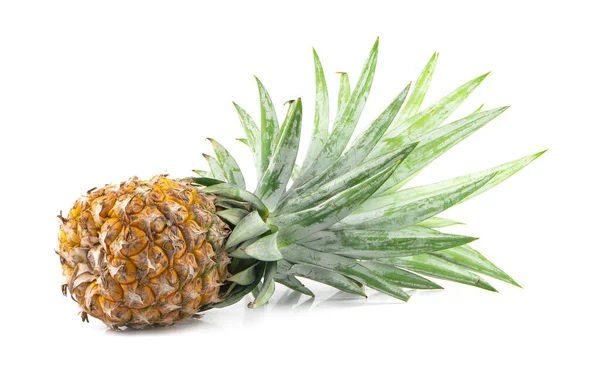 Pineapple Isolated White Background — Stock Photo, Image