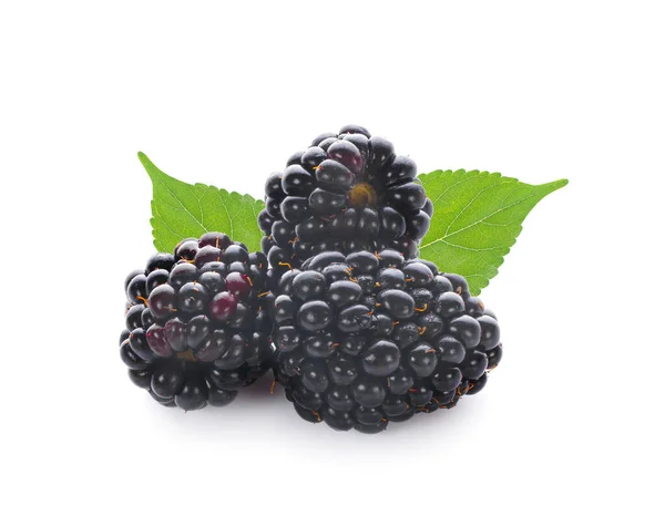白色背景下的成熟黑莓 剪枝路径 — 图库照片