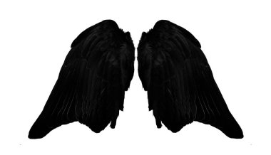 Beyaz arkaplanda melek kanatları