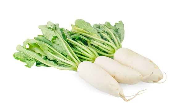 Daikon Rabanetes Isolado Fundo Branco — Fotografia de Stock