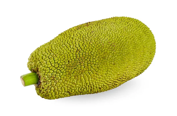 Jackfruit Izolowane Białym Tle — Zdjęcie stockowe