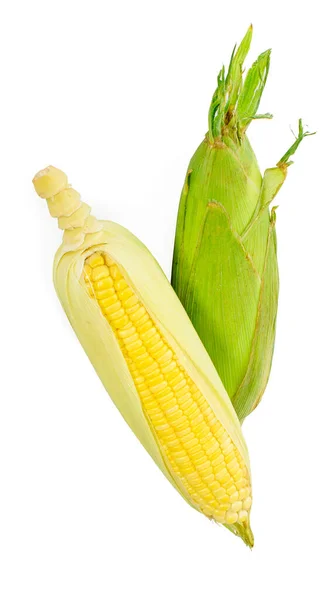 Corn Isolated White Background — Stock Photo, Image