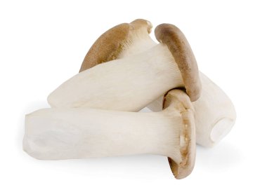 Beyaz arka planda izole edilmiş Pleurotus eryngii mantarları