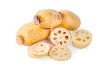 Beyaz arkaplanda nilüfer kökü izole edildi