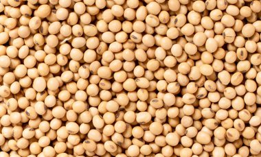 Birçok soya fasulyesi arka plan olarak kapanır.