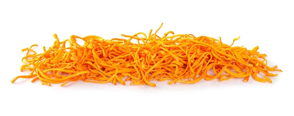 Cordyceps Sinensis Mantarı izole edilmiş beyaz bir arka plan