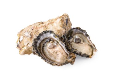 Taze açılmış istiridye beyaz arkaplanda izole edilmiş.