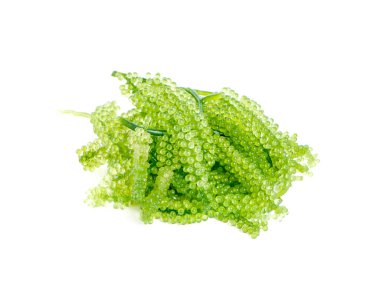 Beyaz arkaplanda deniz yosunu (yeşil havyar)