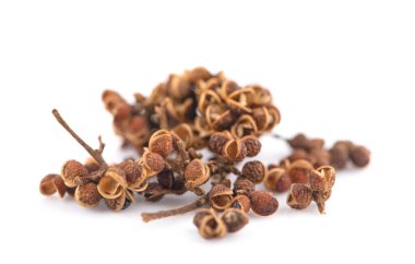 Zanthozylum limonella Alston beyaz arka planda izole edilmiş