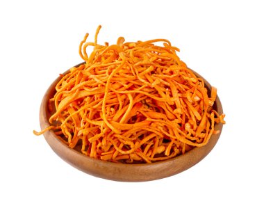 Cordyceps Sinensis Mantarı izole edilmiş beyaz bir arka plan