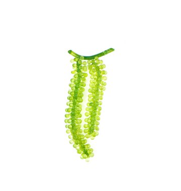 Beyaz arkaplanda deniz yosunu (yeşil havyar)