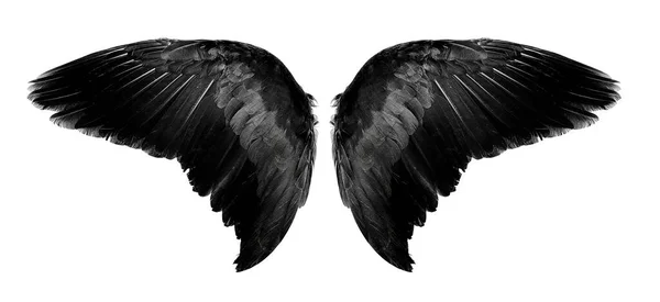 Angel Vleugels Een Geïsoleerde Witte Achtergrond — Stockfoto