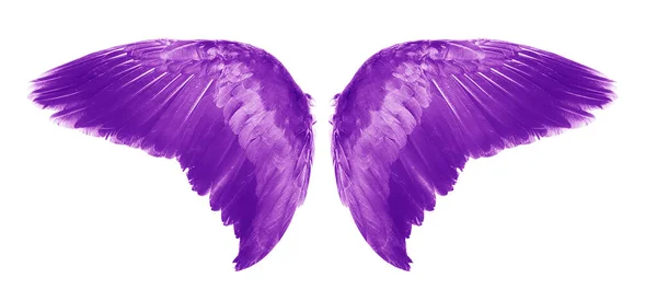 Purple Angel Wings Isolated White Background — Stock Photo, Image