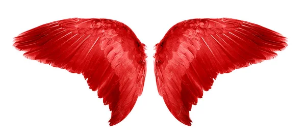 Red Angel Φτερά Ένα Απομονωμένο Λευκό Φόντο — Φωτογραφία Αρχείου
