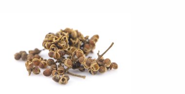 Zanthozylum limonella Alston beyaz arka planda izole edilmiş