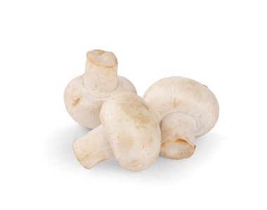 Beyaz Arkaplanda İzole edilmiş Mantar