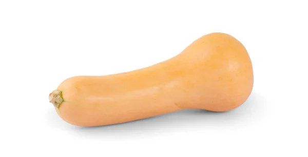 Butternut Squash Izolované Bílém Pozadí — Stock fotografie