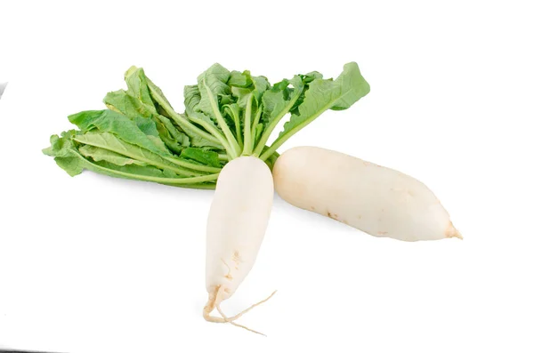 Daikon Radishes Isolated White Background — Stock Photo, Image