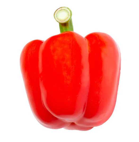 Red Sweet Pepper Paprika Isolated White Background — Stock Photo, Image