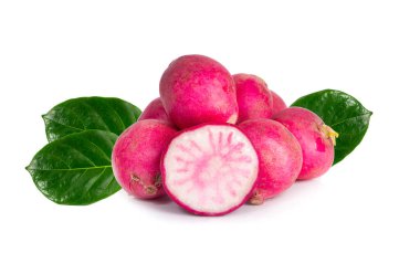 Beyaz arkaplanda izole edilmiş olgun turplar