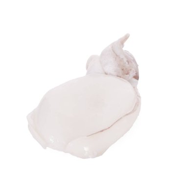 beyaz arkaplanda kalamar izole edildi