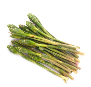 Zingiber zerumbet çiçeği beyaz arkaplanda izole edilmiş