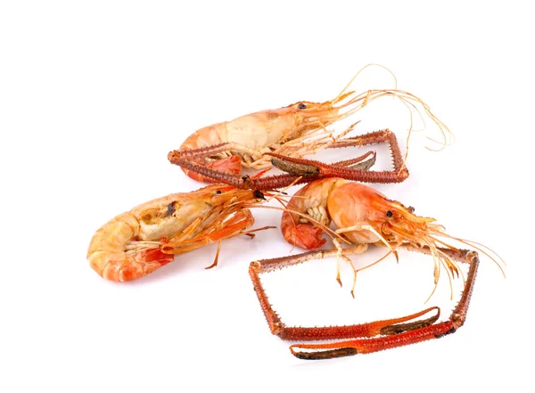 Fruits Mer Une Rivière Bouillie Crevettes Ses Grosses Crevettes — Photo