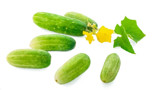 Свіжий Зелений Огірок Листям Квітами Натуральні Овочі Органічна Їжа Ізольовані — стокове фото