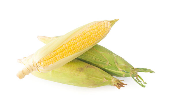 кукуруза на белом фоне