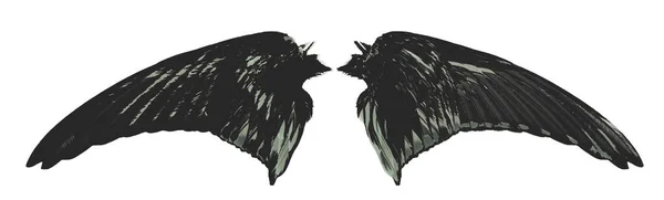 Крылья Ангела Изолированы Белом Фоне Обрезкой Пути — стоковое фото