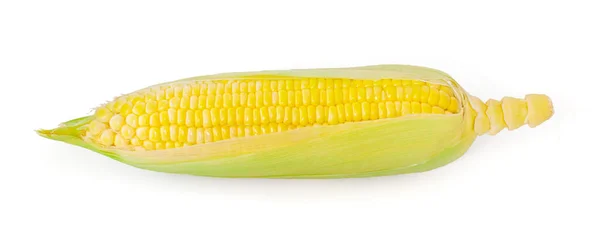 Pojedyncze Ucho Kukurydzy Białym Tle — Zdjęcie stockowe