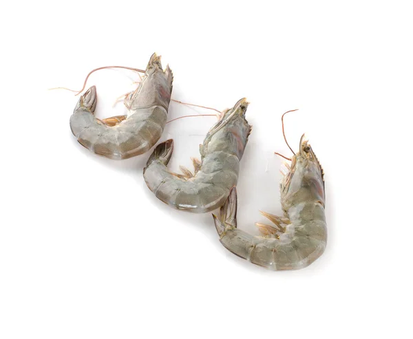 生鲜虾或虾 背景为白色 — 图库照片
