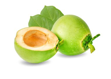 su damlası yeşil hindistan cevizi beyaz arkaplanda izole