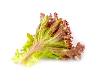 Marul yaprakları beyaz arkaplanda yalıtılmış