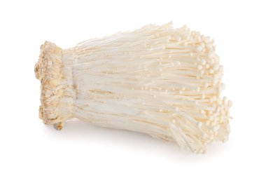 Enoki mantarı, beyaz arka planda izole edilmiş altın iğneli mantar.