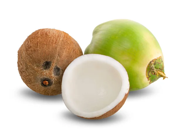 Groene Kokosnoot Geïsoleerd Witte Achtergrond — Stockfoto