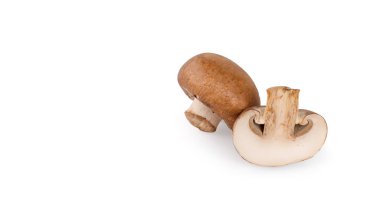 Beyaz arka planda izole edilmiş taze şampiyon mantarları