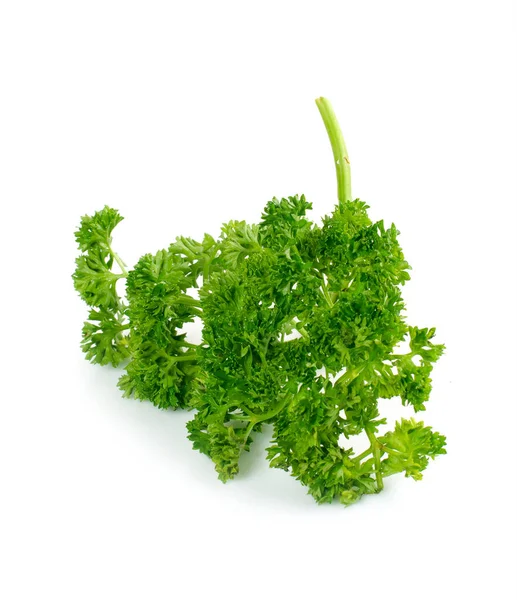 Groene Bladeren Van Pasley Geïsoleerd Witte Achtergrond — Stockfoto