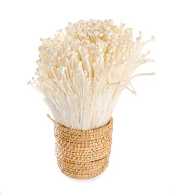 Enoki mantarı, beyaz arka planda izole edilmiş altın iğneli mantar.