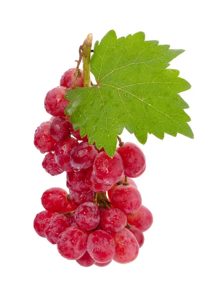 Dojrzałe Czerwone Winogrono Różowa Gromadka Liśćmi Białym Tle — Zdjęcie stockowe