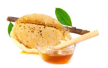 Beyaz arka plan üzerinde izole bal ayı ile petek